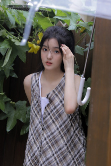 藏海花免费看